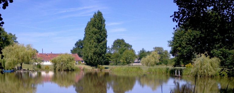 PC_20140620_120441cc